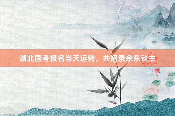 湖北国考报名当天运转，共招录余东谈主