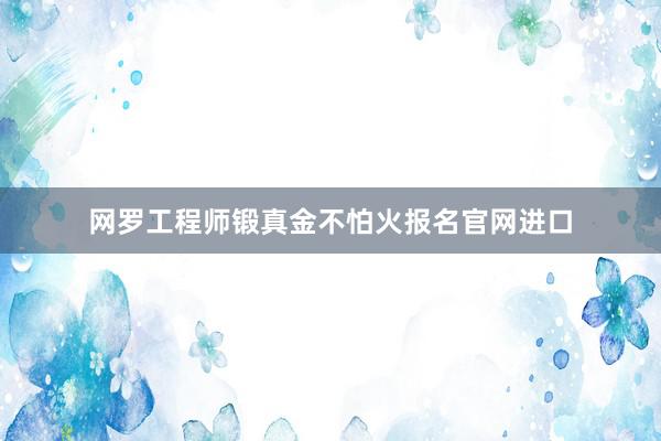 网罗工程师锻真金不怕火报名官网进口
