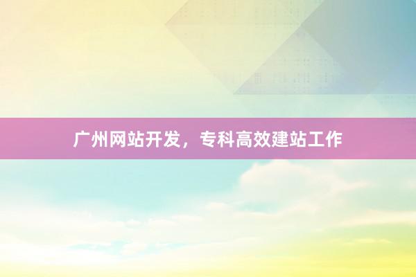 广州网站开发，专科高效建站工作