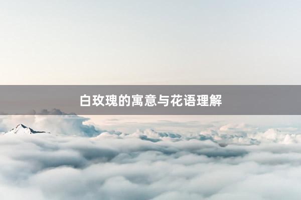 白玫瑰的寓意与花语理解