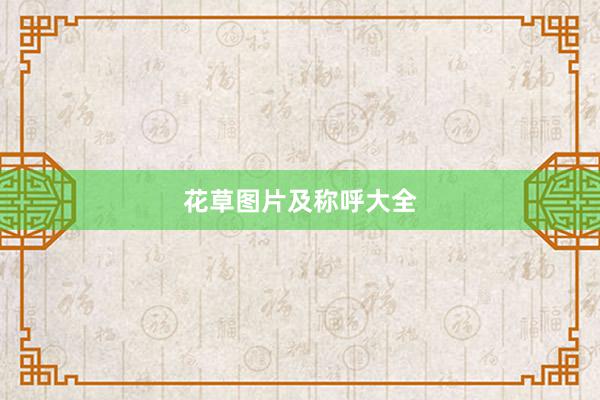 花草图片及称呼大全