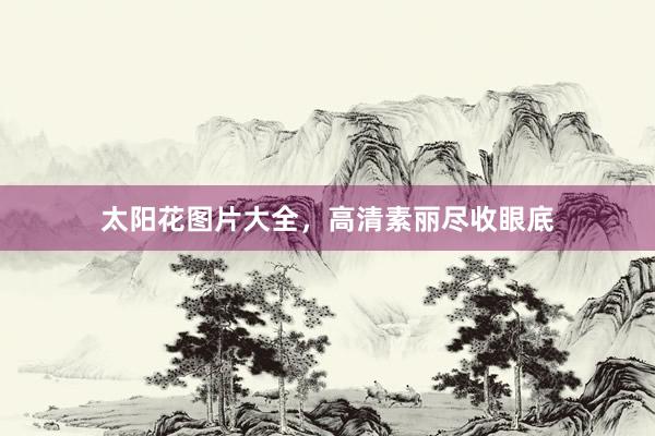 太阳花图片大全，高清素丽尽收眼底